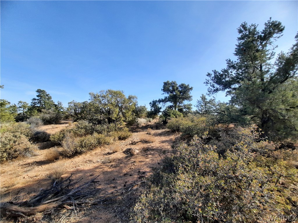 83 North Frerichs Ranch Road Hackberry, AZ 86411 - Photo 9 of 17