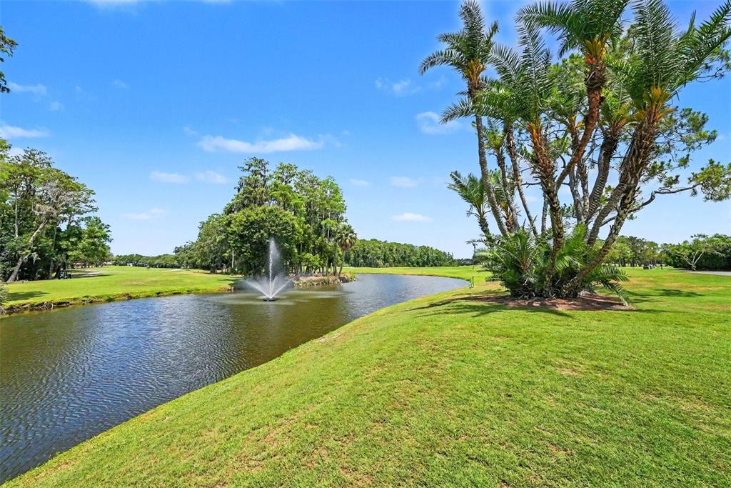 9204 Golf View Drive New Port Richey, FL 34655 - Photo 28 of 33 a view of a lake with a yard
