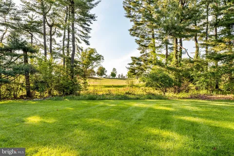 a backyard of a house with lots of plants and small trees