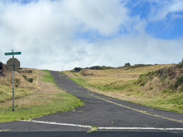 a black and white photo of a painting