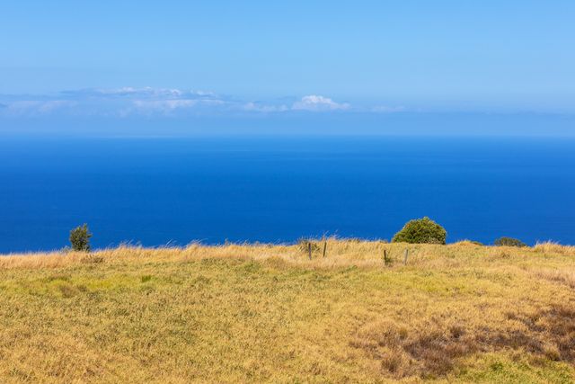 a view of ocean view