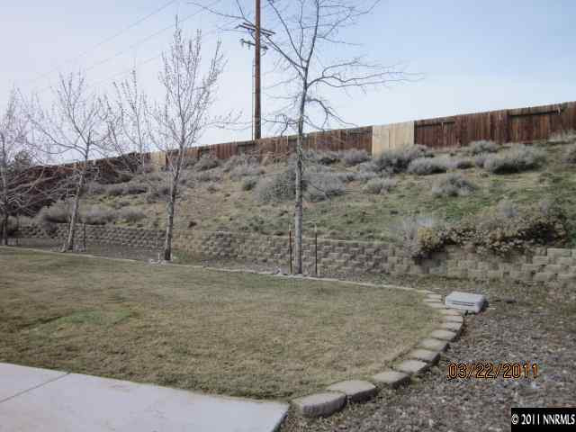 3025 Andrea Street Reno, NV 89503 - Photo 11 of 11 a view of a dry yard with trees