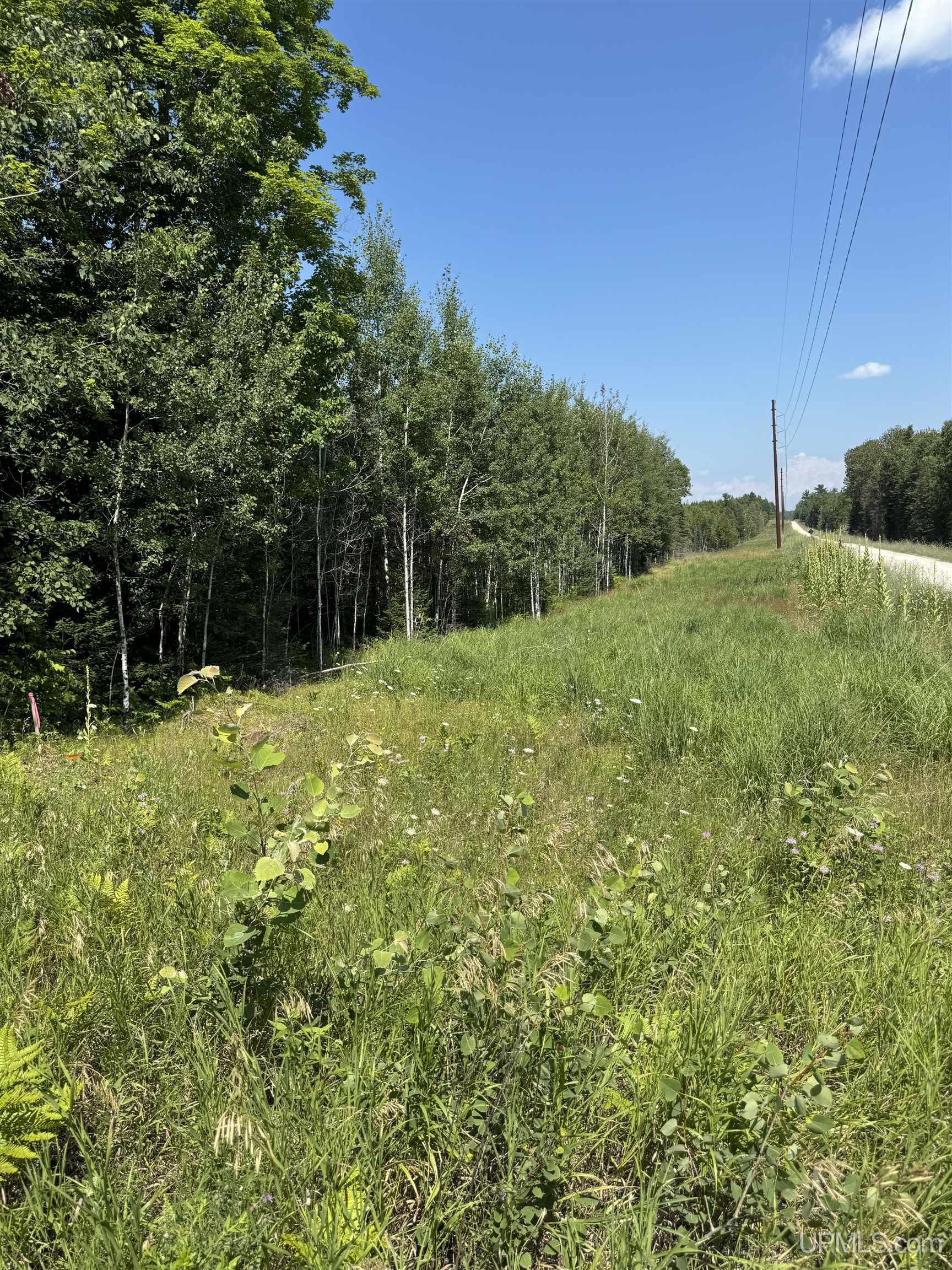 Tbd Cr 400 Road, Unit 23 Perronville, MI 49873 - Photo 18 of 19