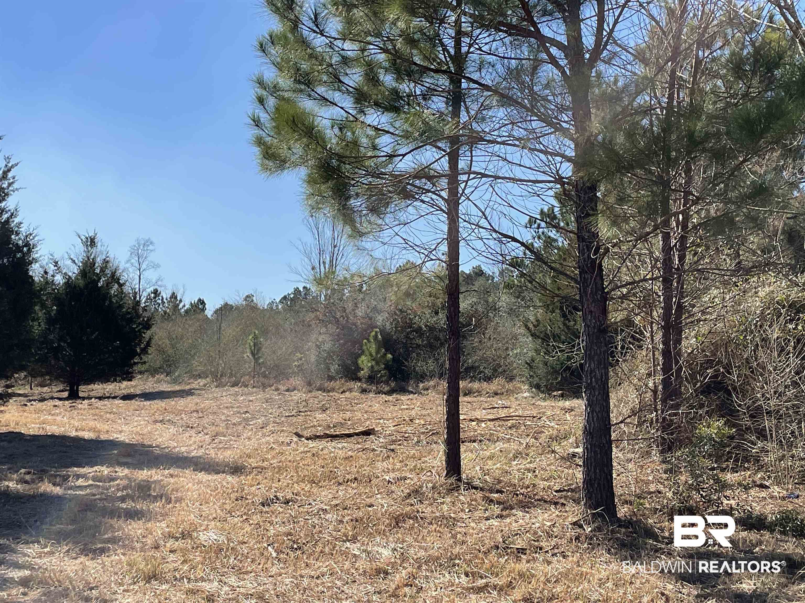 0 Makaira Drive Foley, AL 36535 - Photo 11 of 33