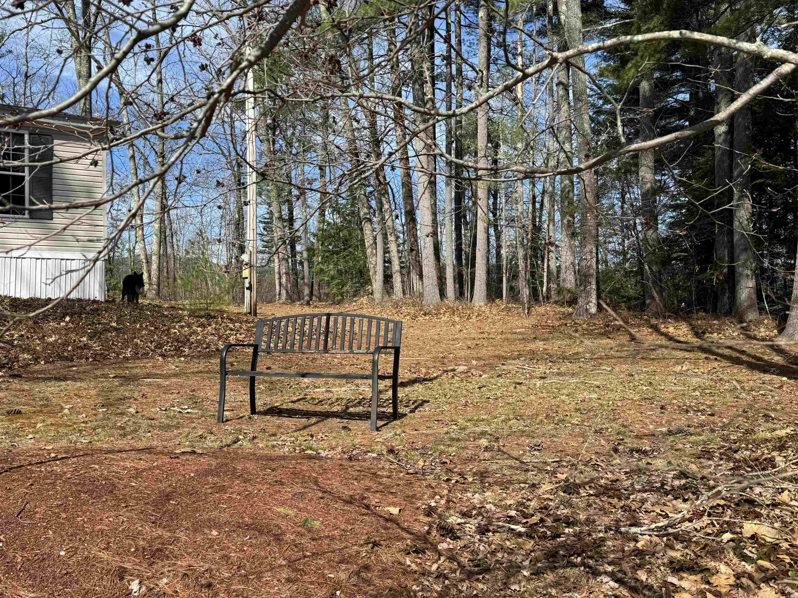 16 Hodsdon Shore Road Ossipee, NH 03814 - Photo 34 of 52