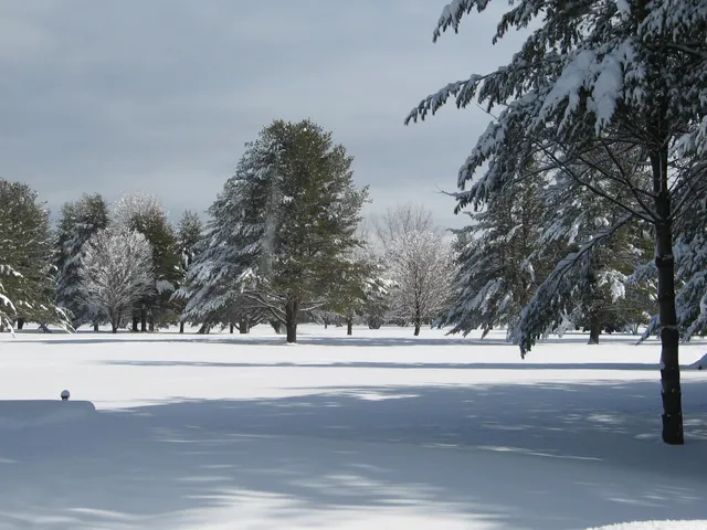 $695,000 | 16 Hodsdon Shore Road, Ossipee, NH 03814