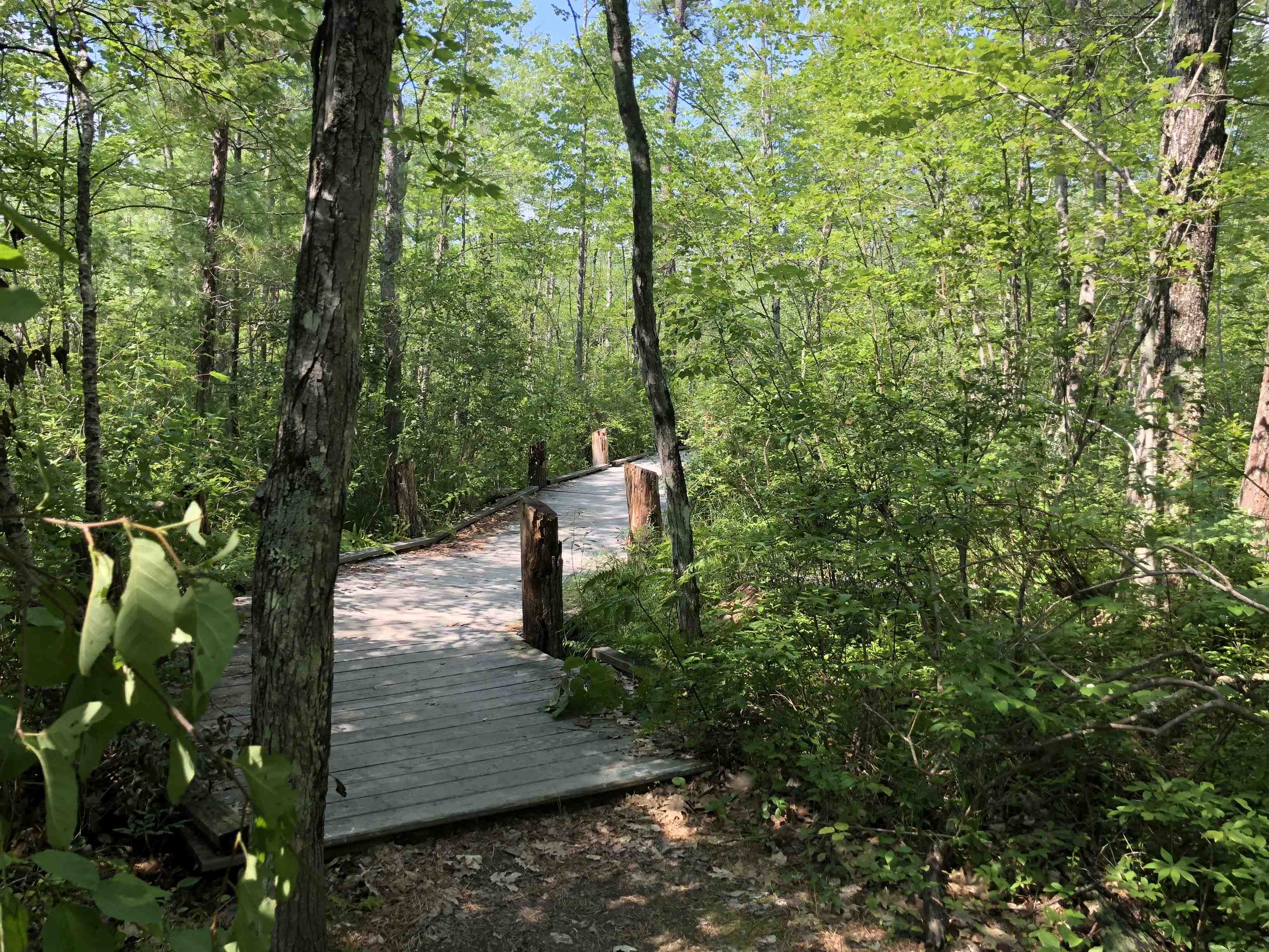 16 Hodsdon Shore Road Ossipee, NH 03814 - Photo 46 of 52