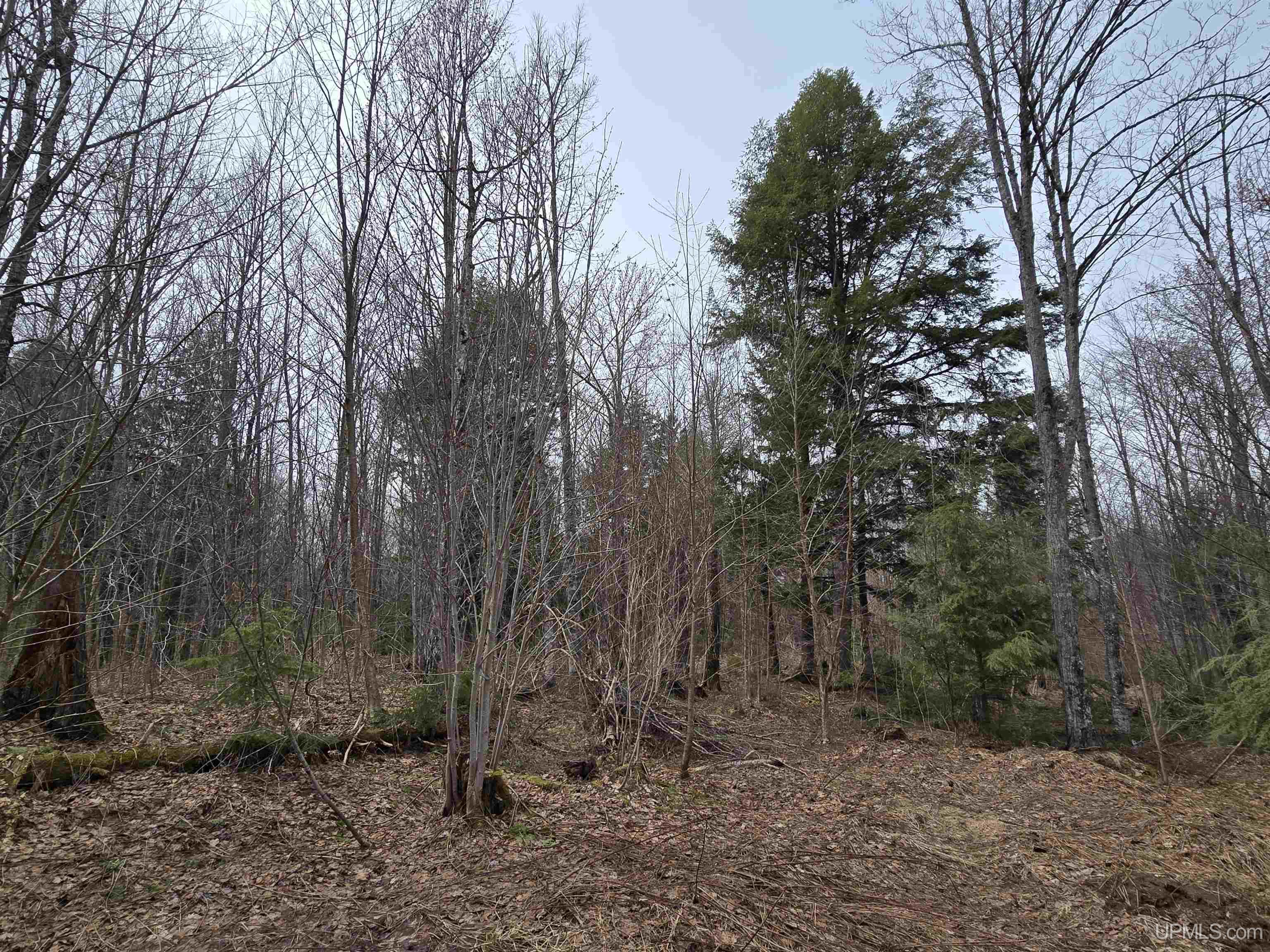 Tbd Orange Road, Unit TBD BLUE ROAD Pelkie, MI 49952 - Photo 23 of 49
