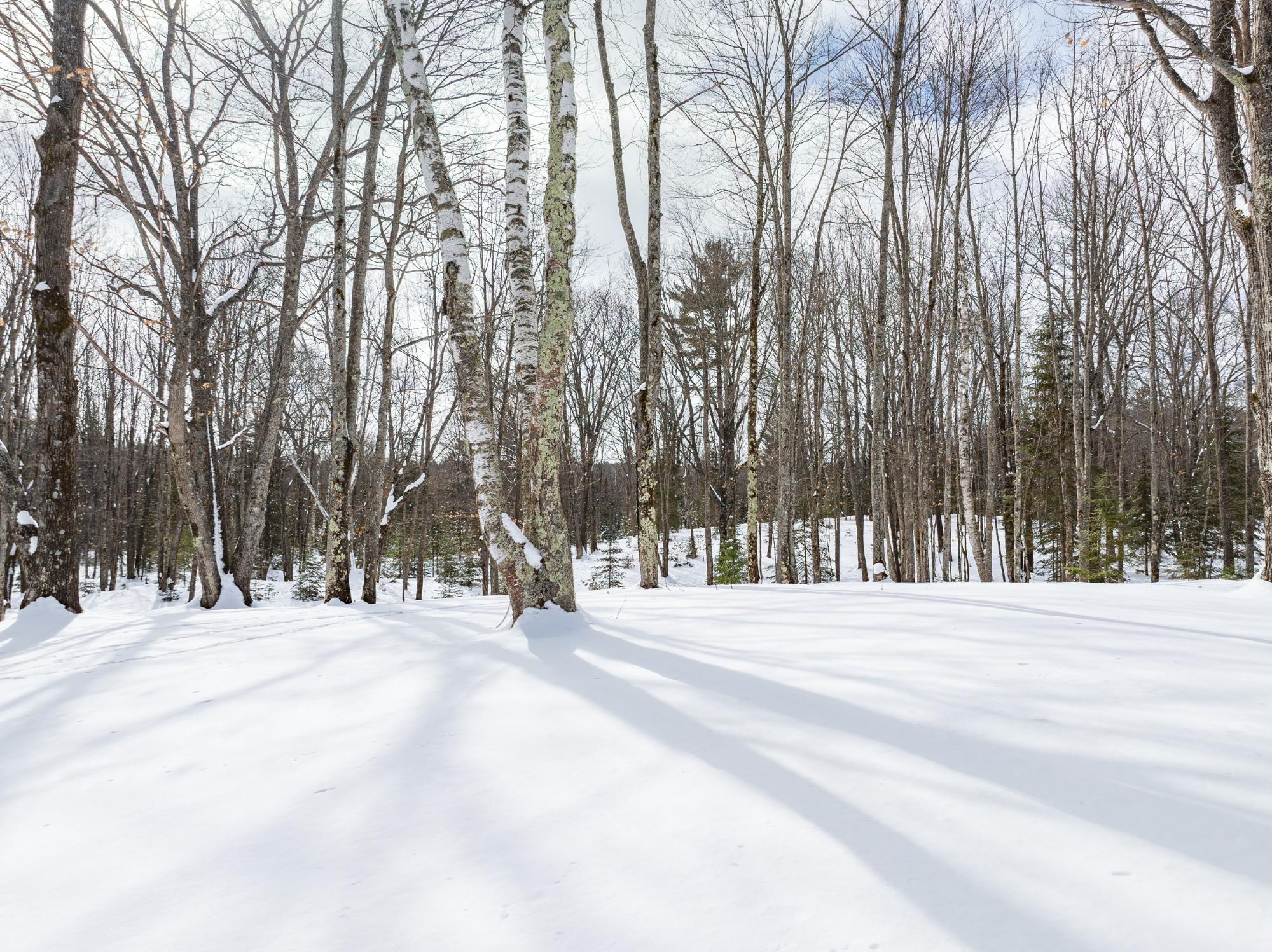 4667 Lily Bass Road Rhinelander, WI 54501 - Photo 26 of 34 Gallery Image 26