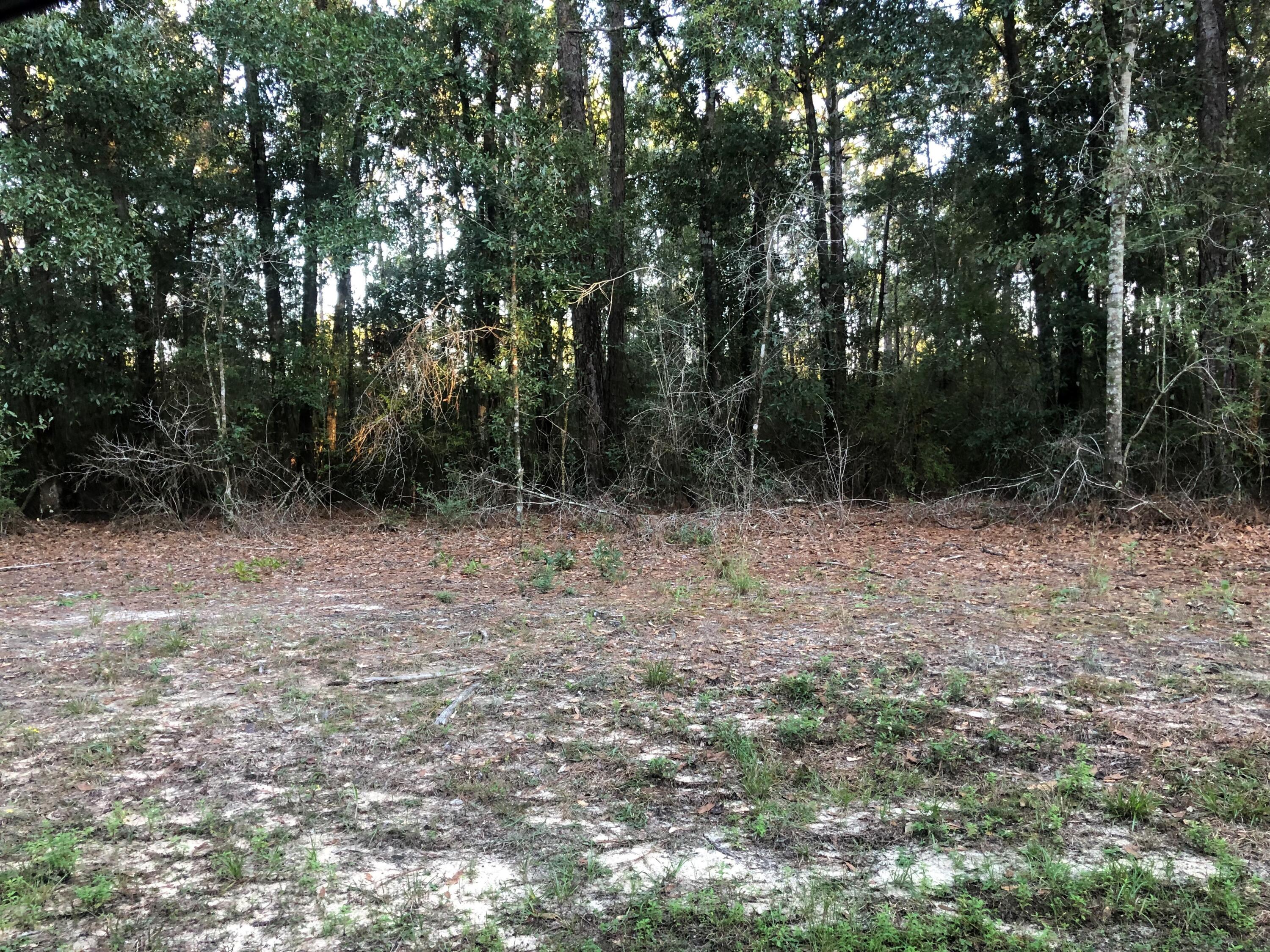 0 Wolf Ridge Road Moss Point, MS 39562 - Photo 1 of 1 Wolfridge