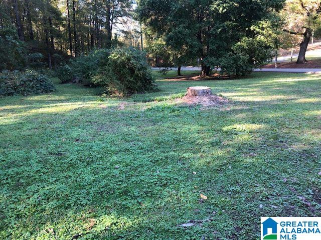 802 Old Wagon Road Pell City, AL 35125 - Photo 26 of 29