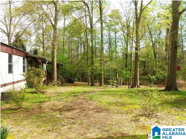 3630 Kelly Creek Road Odenville, AL 35120 - Photo 7 of 7