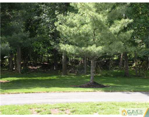 197 Nebula Road Piscataway, NJ 08854 - Photo 3 of 18 a view of a park