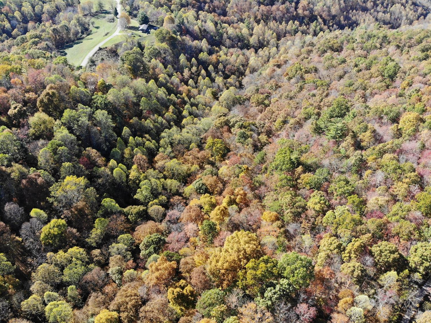 3677 Chestnut Flat Road McKee, KY 40447 - Photo 25 of 28 Photo 25