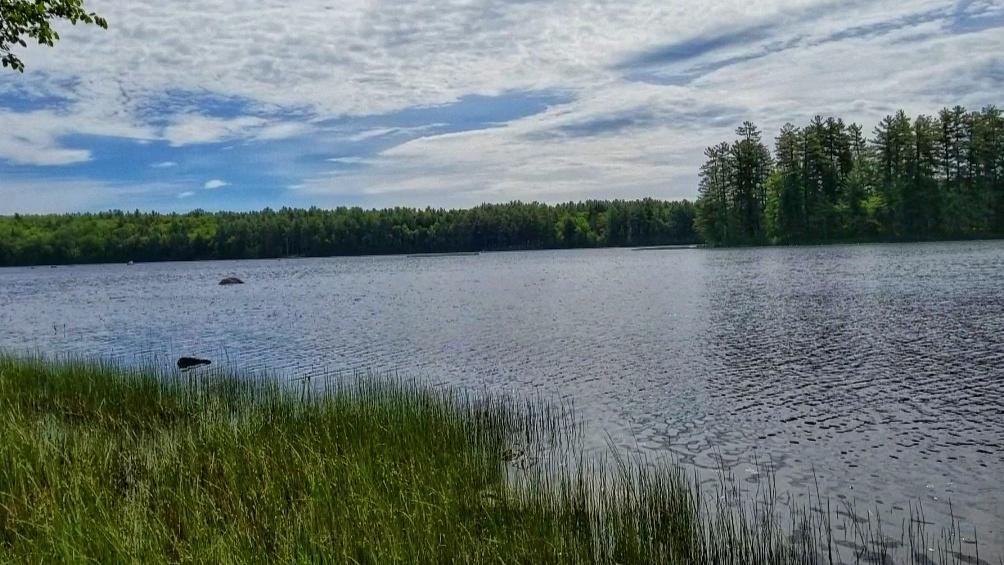 57 Smith Road Windsor, ME 04363 - Photo 9 of 11 View of Long Pond from shoreline