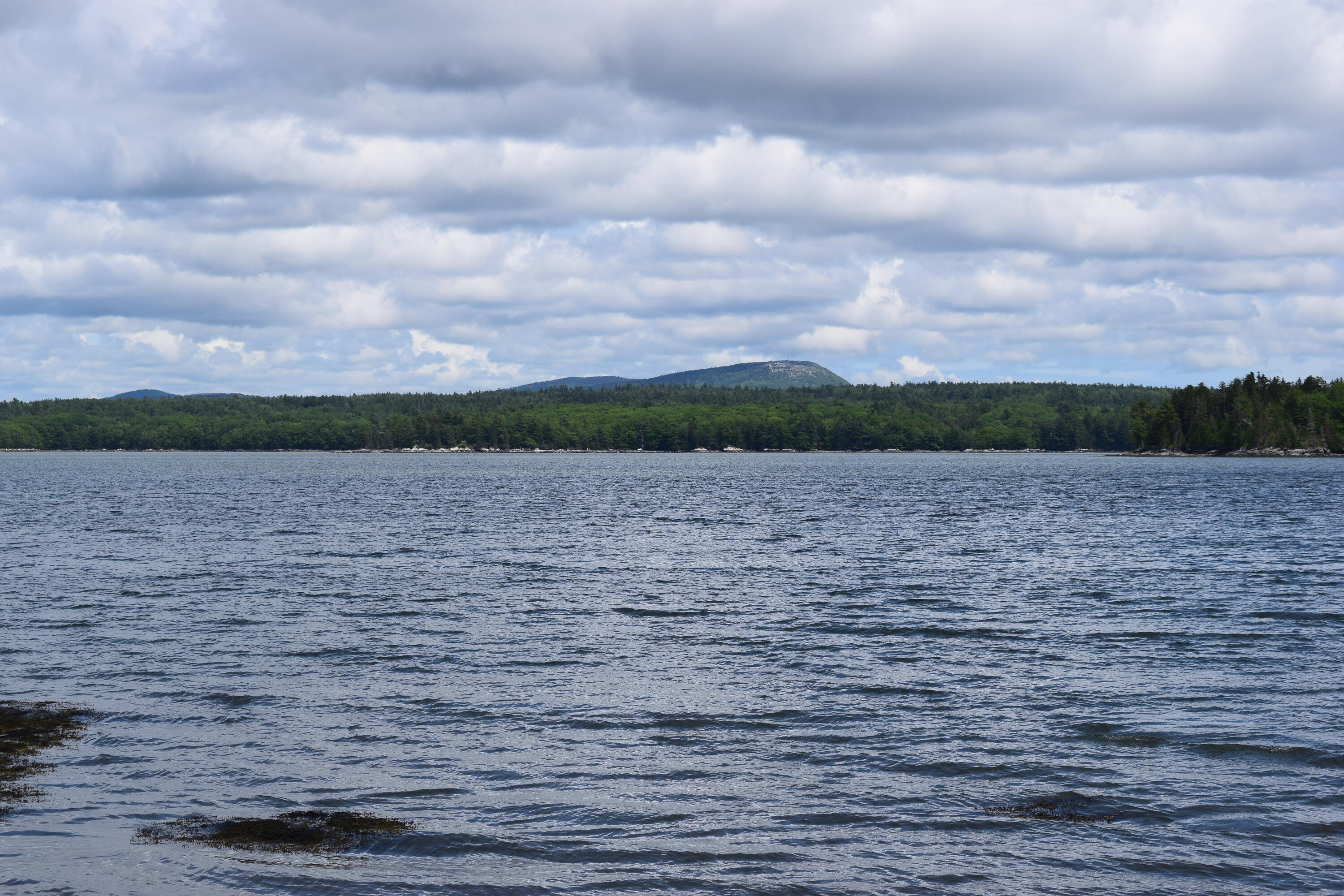 0 Landing Road Hancock, ME 04640 - Photo 3 of 17 DSC_0045