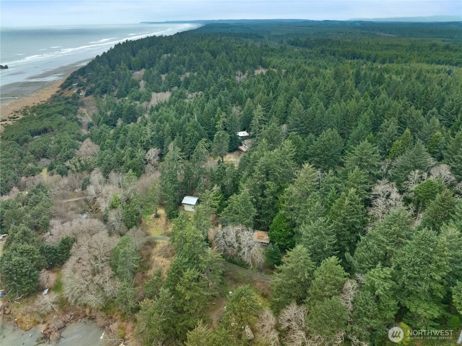 26 Ocean View Lane Copalis Beach, WA 98535 - Photo 15 of 27