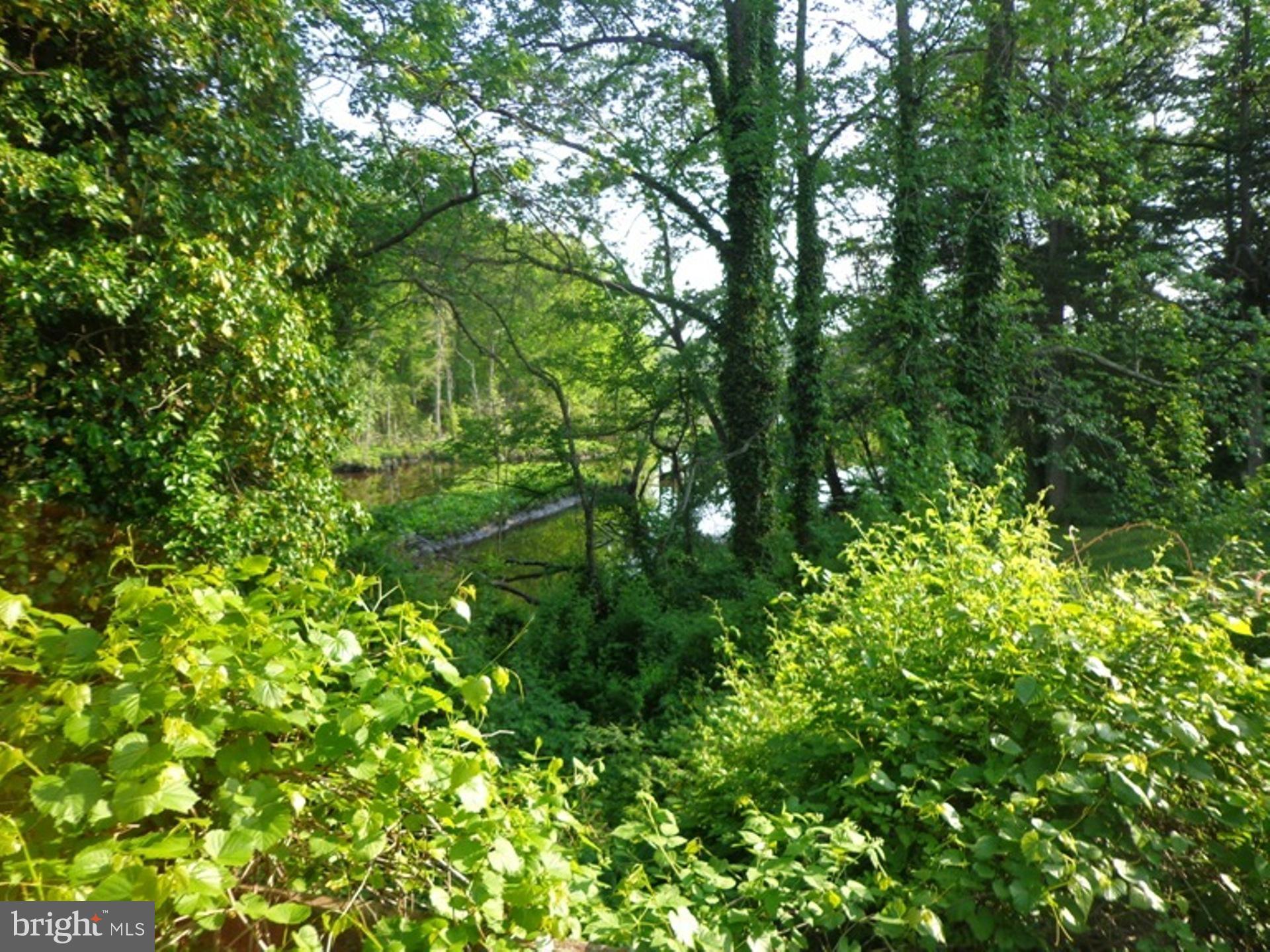 56 Davis Road Salem, NJ 08079 - Photo 25 of 28