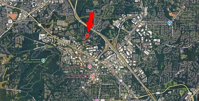 a close up of a plant in a garden