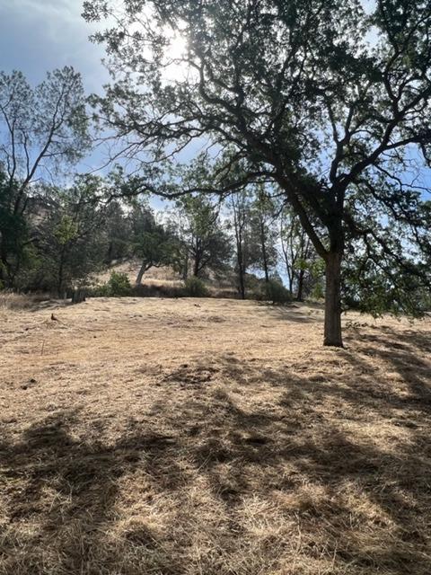 28522 Perkins Road Friant, CA 93626 - Photo 10 of 15 view from bottom large oak tree on property