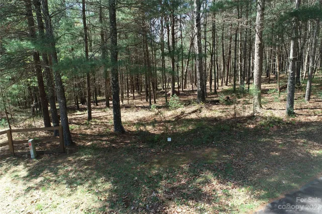 $29,900 | 1301 Scenic Vista Drive, Nebo, NC 28761
