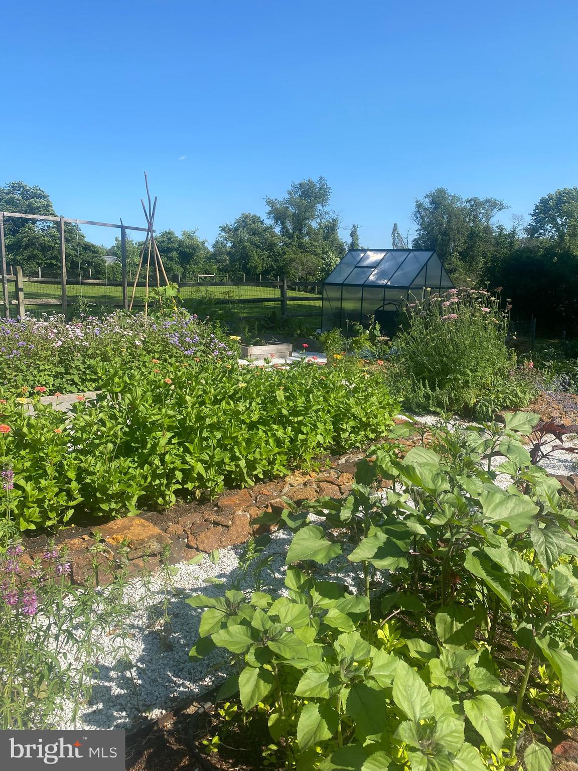 181 Jefferson Road Sewell, NJ 08080 - Photo 37 of 71 Outdoor Kitchen Garden