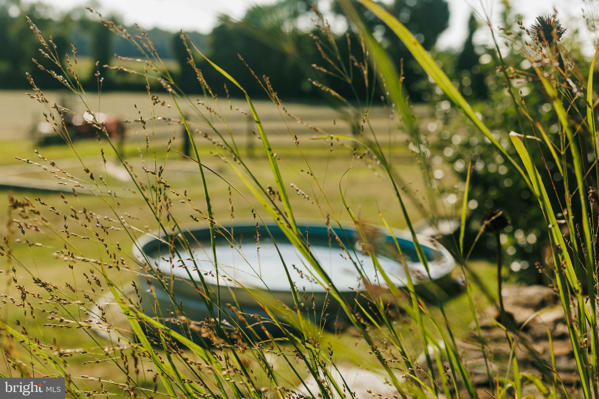 181 Jefferson Road Sewell, NJ 08080 - Photo 42 of 71 Salt water plunge pool