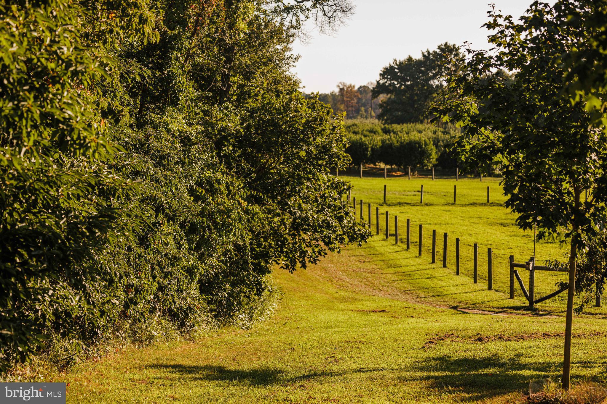 181 Jefferson Road Sewell, NJ 08080 - Photo 44 of 71