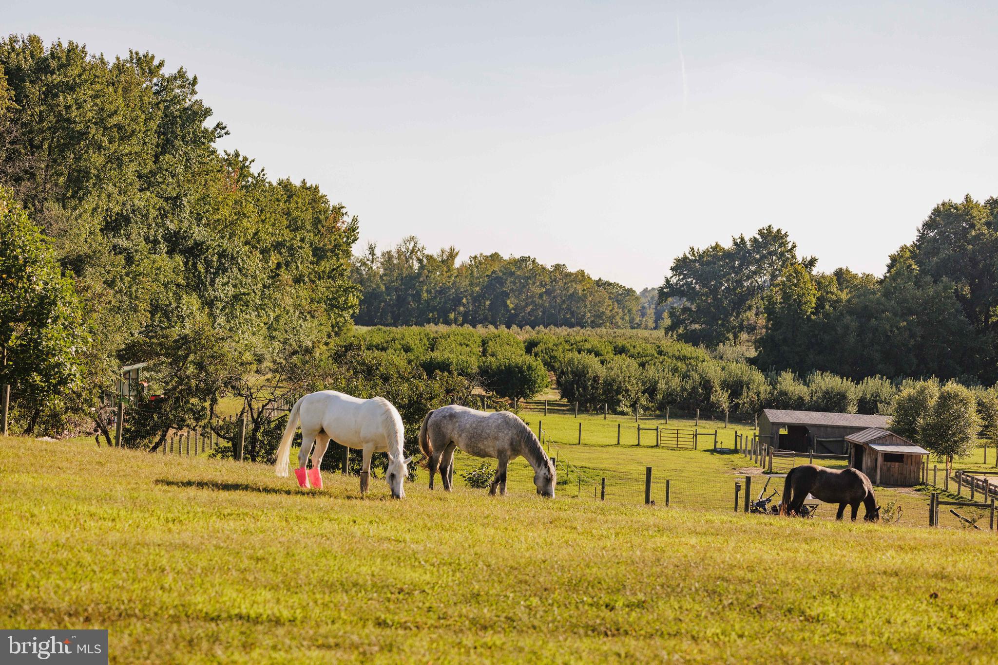 181 Jefferson Road Sewell, NJ 08080 - Photo 45 of 71