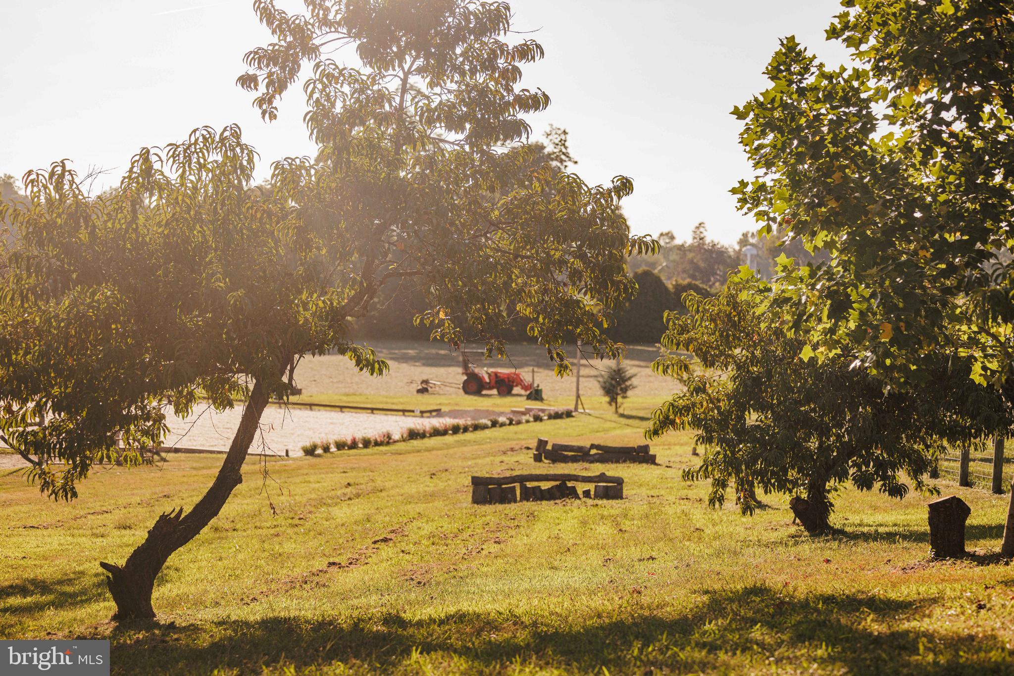 181 Jefferson Road Sewell, NJ 08080 - Photo 48 of 71 meadow of cross country jumps