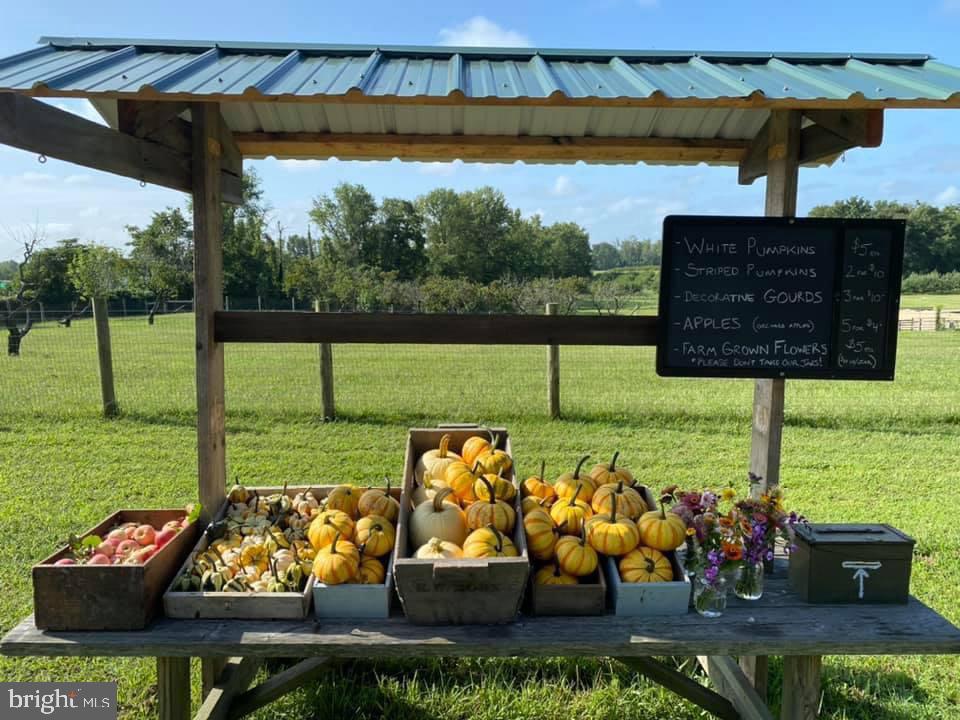 181 Jefferson Road Sewell, NJ 08080 - Photo 68 of 71