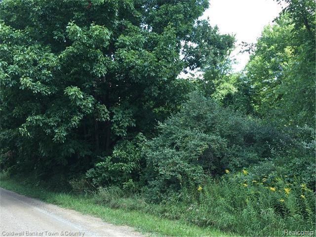 Vl North Briggsville Road Fowlerville, MI 48836 - Photo 3 of 10