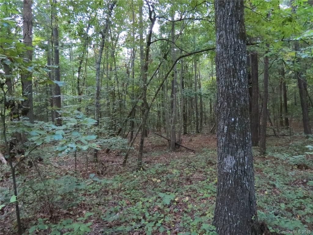 18.36-ac 18.36-ac Chambers Road, Unit 4 York, SC 29745 - Photo 2 of 12 Gallery Image 2