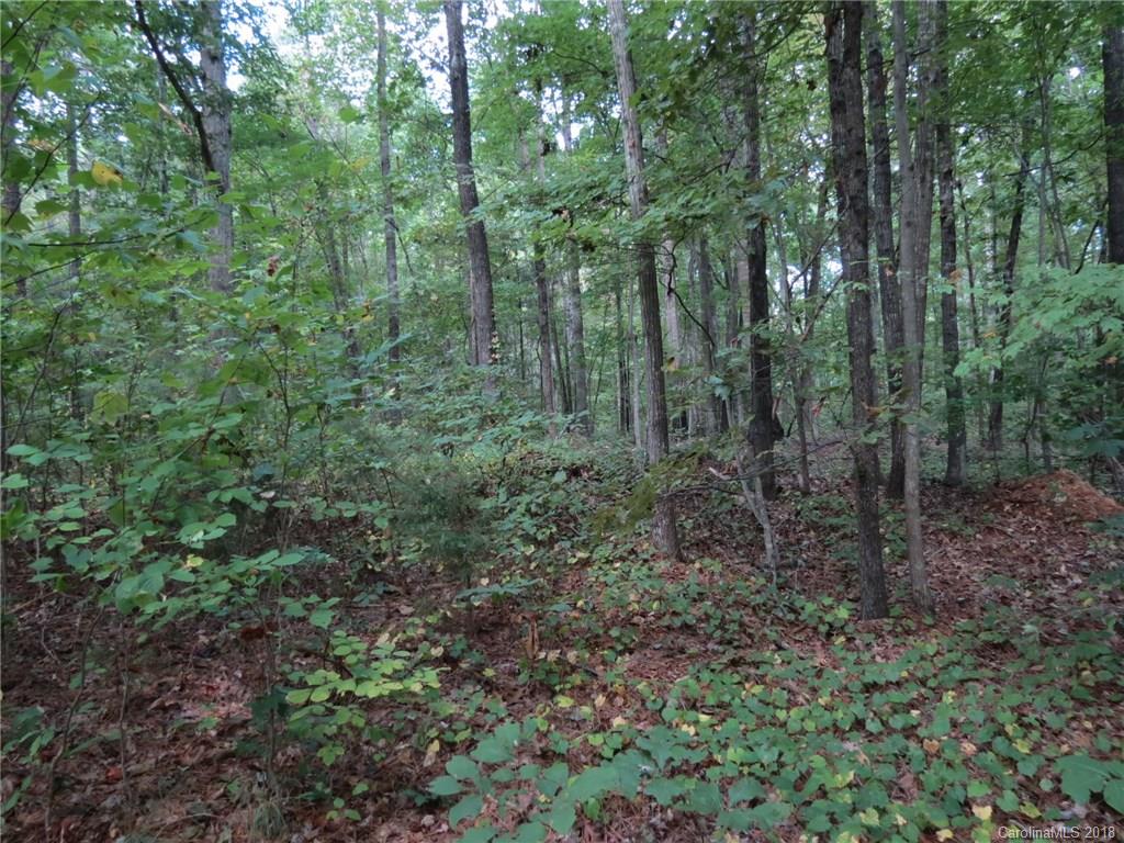 18.36-ac 18.36-ac Chambers Road, Unit 4 York, SC 29745 - Photo 11 of 12 Gallery Image 11