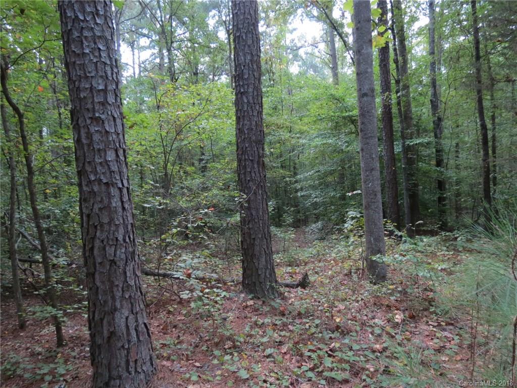 18.36-ac 18.36-ac Chambers Road, Unit 4 York, SC 29745 - Photo 3 of 12 Gallery Image 3