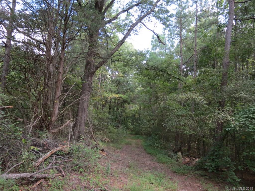 18.36-ac 18.36-ac Chambers Road, Unit 4 York, SC 29745 - Photo 4 of 12 Gallery Image 4