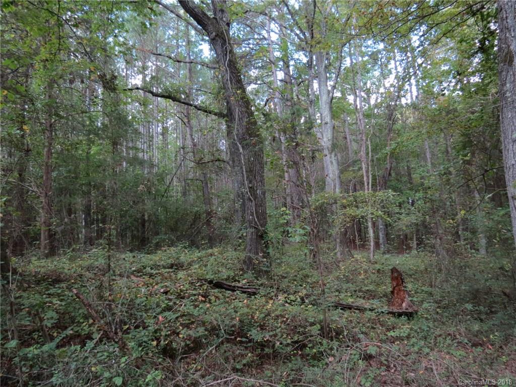 18.36-ac 18.36-ac Chambers Road, Unit 4 York, SC 29745 - Photo 5 of 12 Gallery Image 5