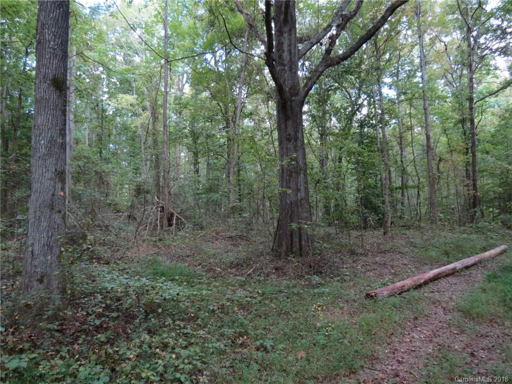 18.36-ac 18.36-ac Chambers Road, Unit 4 York, SC 29745 - Photo 6 of 12 Gallery Image 6