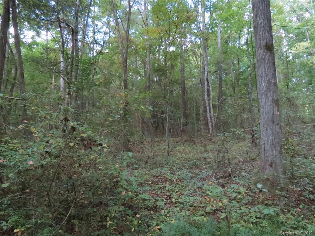 18.36-ac 18.36-ac Chambers Road, Unit 4 York, SC 29745 - Photo 7 of 12 Gallery Image 7