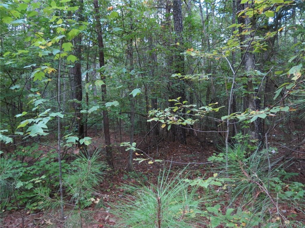 18.36-ac 18.36-ac Chambers Road, Unit 4 York, SC 29745 - Photo 8 of 12 Gallery Image 8