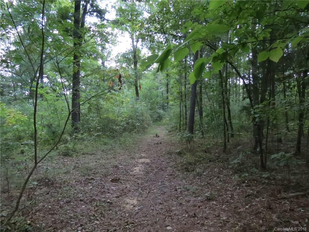 18.36-ac 18.36-ac Chambers Road, Unit 4 York, SC 29745 - Photo 9 of 12 Gallery Image 9