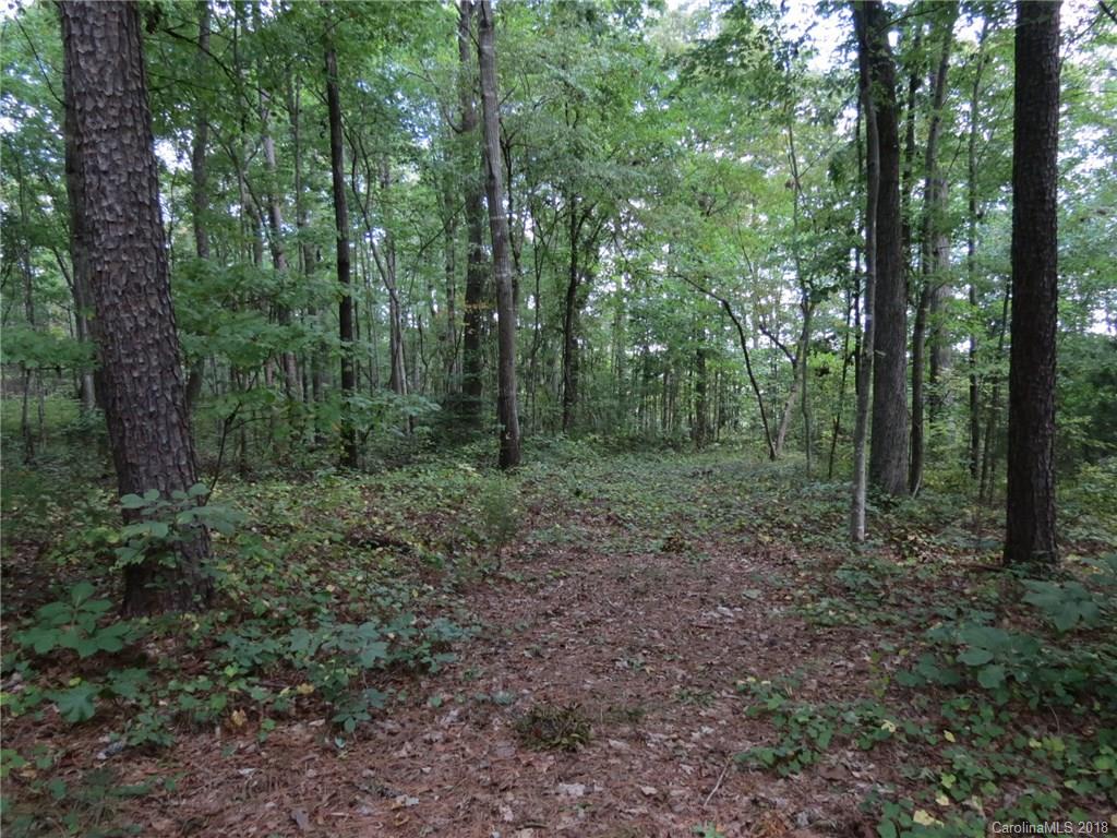 18.36-ac 18.36-ac Chambers Road, Unit 4 York, SC 29745 - Photo 10 of 12 Gallery Image 10