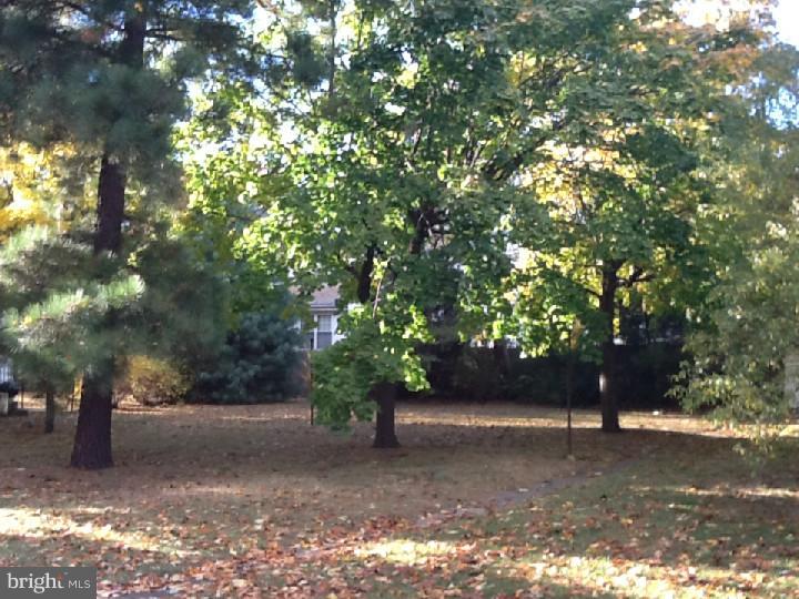 319 Lippincott Avenue Riverside, NJ 08075 - Photo 6 of 24