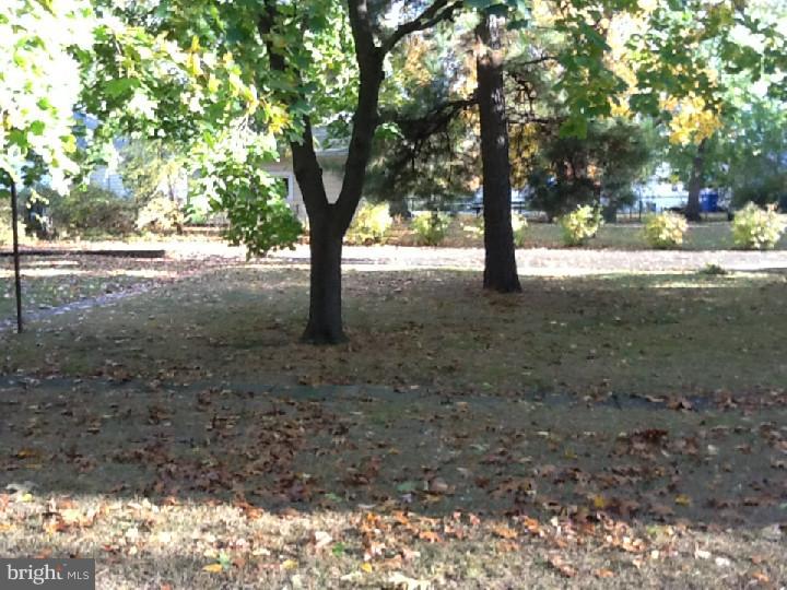 319 Lippincott Avenue Riverside, NJ 08075 - Photo 7 of 24