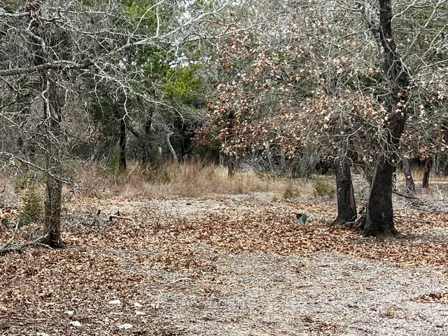 a backyard of a house
