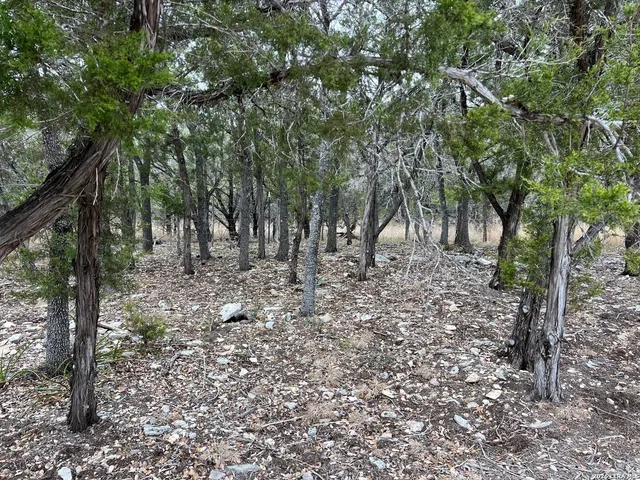a view of a street with a bench