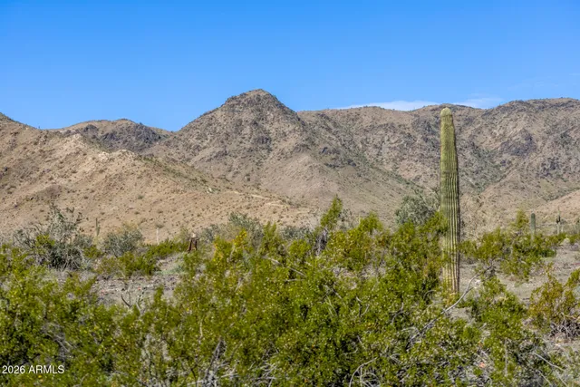 a view of a mountain