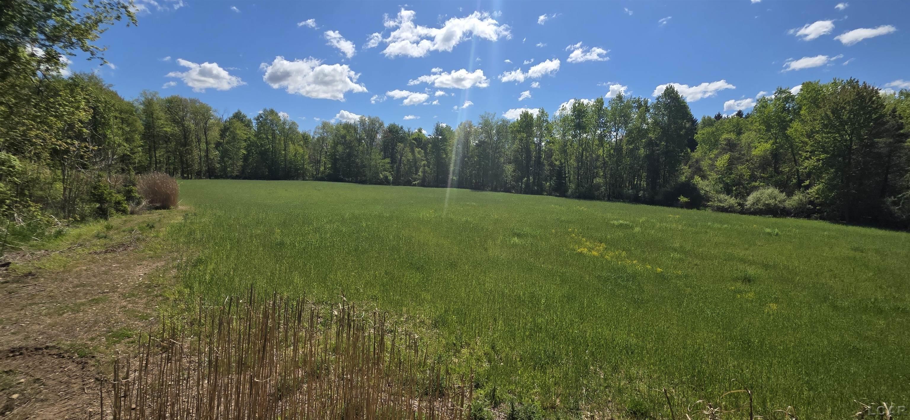 15252 27 Mile Road Albion, MI 49224 - Photo 10 of 57