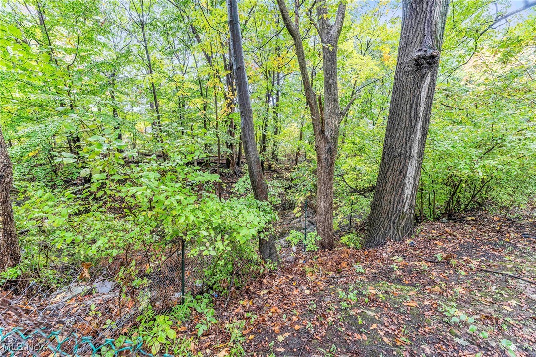 4149 Bluestone Road Cleveland, OH 44121 - Photo 41 of 41 View of landscape