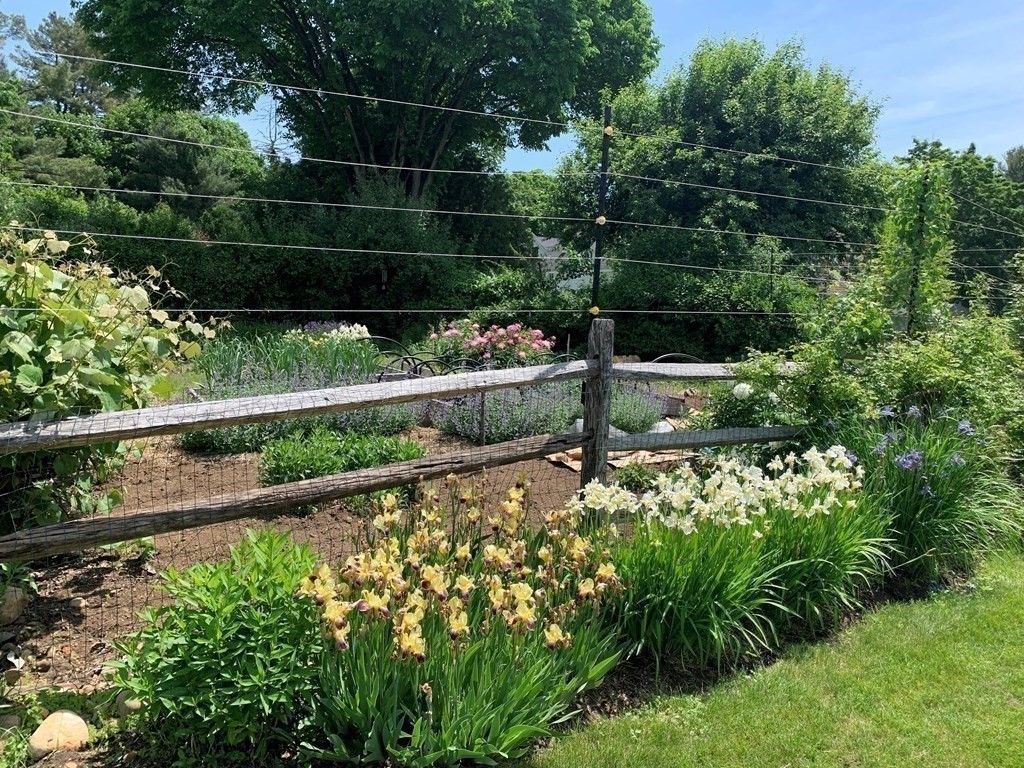 13 Main Street Boxford, MA 01921 - Photo 31 of 36 a view of a garden